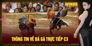 Giới thiệu đôi nét về đá gà trực tiếp C3