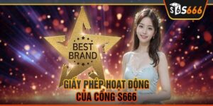 Tìm hiểu thông tin về giấy phép hoạt động S666